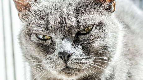 Las principales amenazas que afrontará el mundo en 2017 según Bloomberg