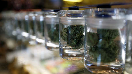 Abre sus puertas el primer museo del cannabis de Suramérica (Foto)