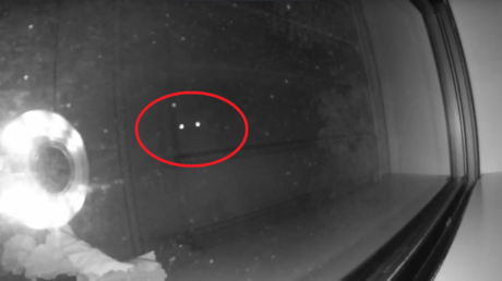 Escucharon ruidos fuera de casa pero no se esperaban esta 'sorpresa' al prender la luz