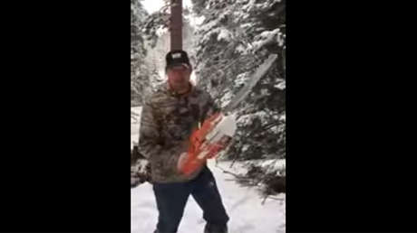 ¿Cómo talar un árbol sin saber usar una sierra eléctrica?