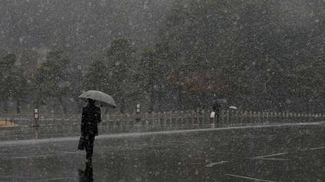 Cómo la soledad se ha convertido en un negocio en Japón