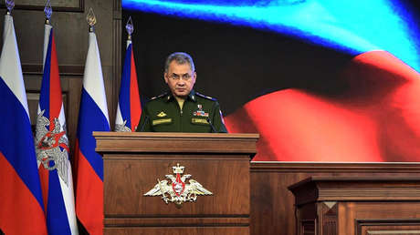 Rusia: "La ayuda humanitaria de la doctora Liza ya está en Siria"