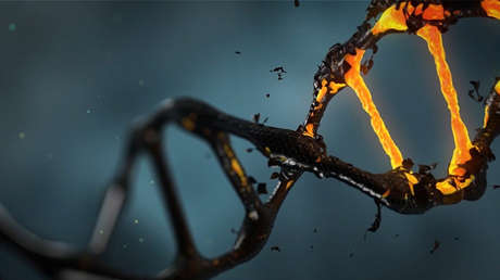 Crean un material inspirado en Wolverine que se regenera en tan solo 24 horas