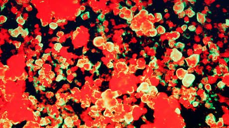 IBM crea una molécula 'Terminator' para erradicar virus