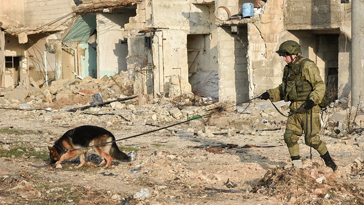 El Pentágono: EE.UU. "lucha solo" en Siria mientras Rusia "no hace nada"