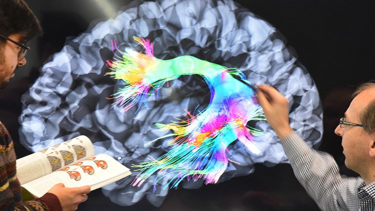 Seis técnicas clave para volverse más inteligente, según la ciencia