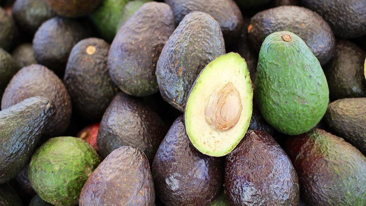 Washington rechaza la primera importación de aguacates mexicanos
