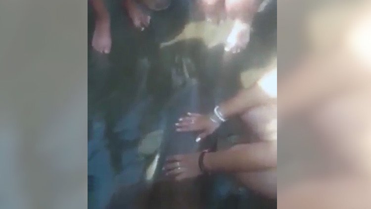 Turistas provocan la muerte de un delfín por sacarse selfis en Argentina (VIDEO)