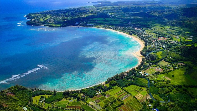 Zuckerberg enfada a los hawaianos: el multimillonario levanta un muro alrededor de su hacienda