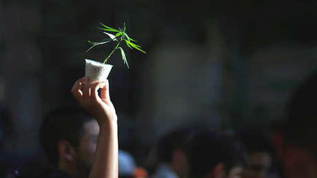 La Policía argentina incauta más de 10 toneladas de marihuana