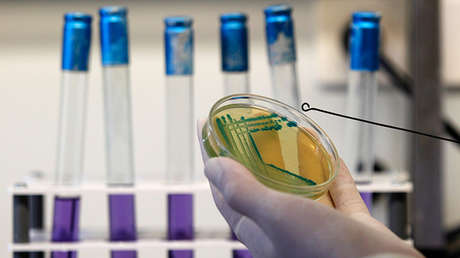 Detectan cómo los microbios 'manipulan' nuestro estado de ánimo