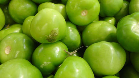 Hallan los tomatillos más antiguos del planeta en la Patagonia (FOTO)