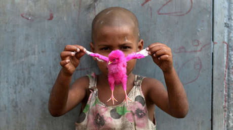 Los primeros 7 días del año en 17 espectaculares fotos