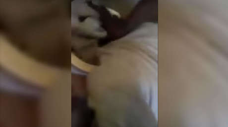 Recaudan en tres días más de 130.000 dólares para la víctima de la tortura trasmitida en Facebook