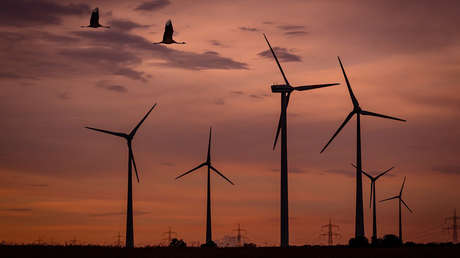 ¿Solo el principio?: Todos los trenes neerlandeses funcionan con energía eólica