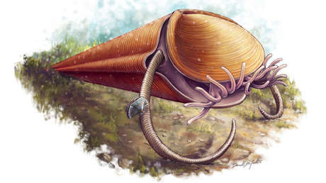 Paleontólogos descifran el árbol geneológico del 'antepasado' de Cthulhu