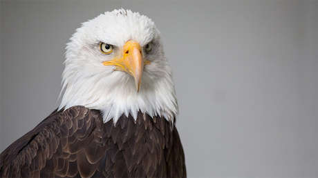 Por qué Washington está "obsesionado con el liderazgo de EE.UU." en el mundo