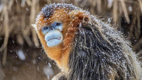 Las imágenes más llamativas de los últimos 7 días