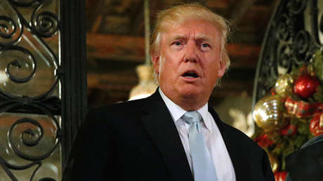 Nombran una nueva especie de polilla en honor de Donald Trump 