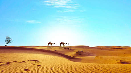 Descubren cómo el Sáhara se convirtió en un desierto