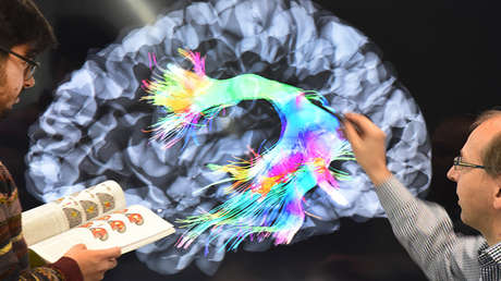 Seis técnicas clave para volverse más inteligente, según la ciencia