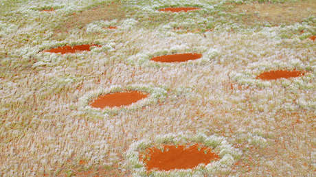 El origen de los enigmáticos 'círculos de hadas' en el desierto del Namib