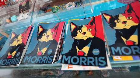 El 'candigato' luchará por la presidencia de México