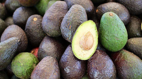 Washington rechaza la primera importación de aguacates mexicanos