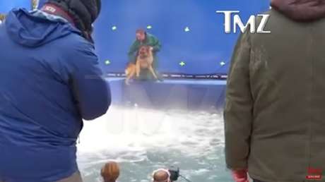 Piden boicotear una película de Hollywood por este maltrato animal