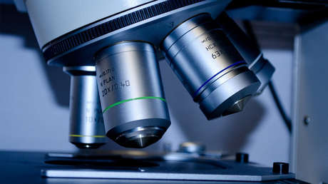 Científicos rusos hallan propiedades únicas de células que ayudarán a combatir el cáncer