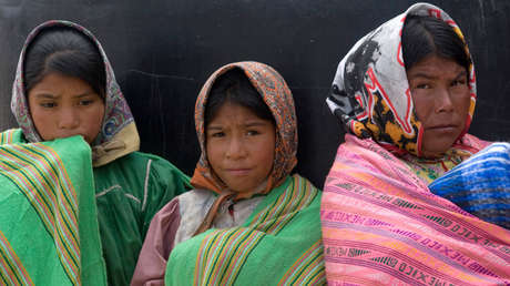 Gobierno de México: sin lenguas indígenas en sus sitios web