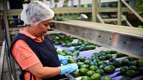 ¿Sobre qué productos mexicanos recaerían los aranceles de EE.UU.?