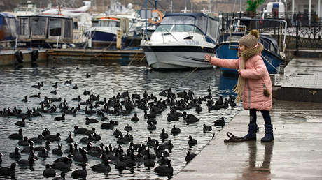 "¿Por qué Rusia es un 'agresor' si cuida de Crimea mejor que Ucrania?"