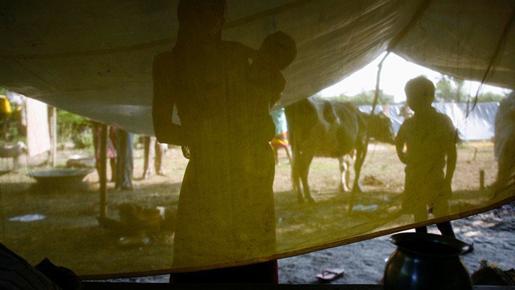 Revelan la causa de una misteriosa enfermedad que causó cientos de muertes de niños en la India