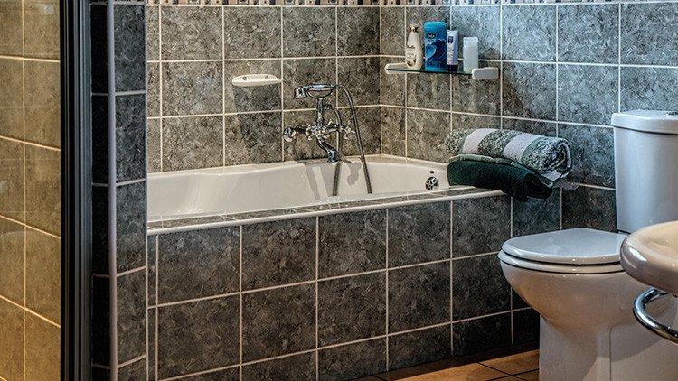 EE.UU.: El aterrador hallazgo que hizo una familia en su baño (fotos)