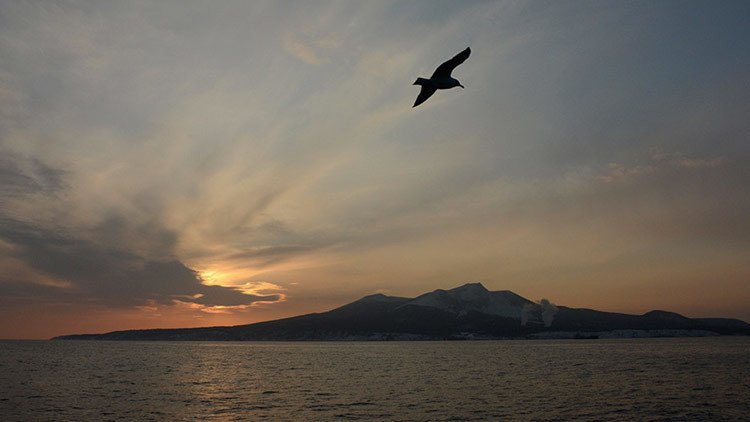 Japón protesta contra el decreto ruso que pone nombre a las islas Kuriles