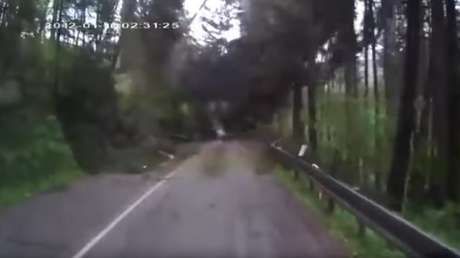 Van en coche por un bosque y empieza el apocalipsis