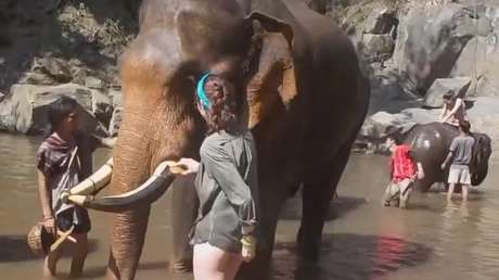 Nunca hagas enojar a un elefante o lo pagarás caro