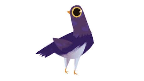 Una 'paloma de la basura' conquista Facebook