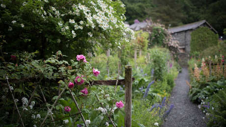 El aterrador hallazgo de una familia de EE.UU. en su jardín (VIDEO)