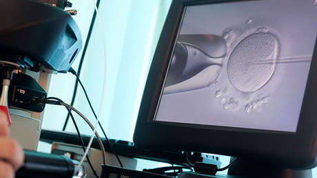 Dos niños se quedan sin padre en España tras un error de fecundación in vitro