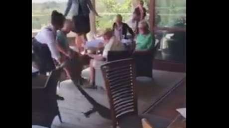 Esta valiente camarera no duda en sacar del bar a un dragón de Komodo arrastrándolo por la cola