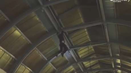 Dramática caída de un joven mago desde 8 metros de altura