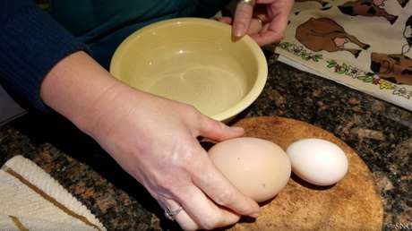 Notaron que el huevo era demasiado grande y al abrirlo se llevaron una sorpresa