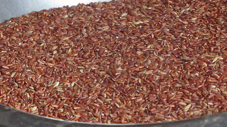 Este es el arroz más caro del mundo (fotos)