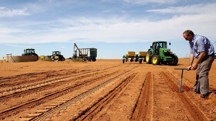 ¿Brote de guerra racial en Sudáfrica? El presidente quiere expropiar las tierras a los blancos