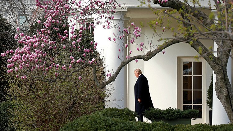 Televisión, tuits y hamburguesas: Así es la vida de Donald Trump en la Casa Blanca 