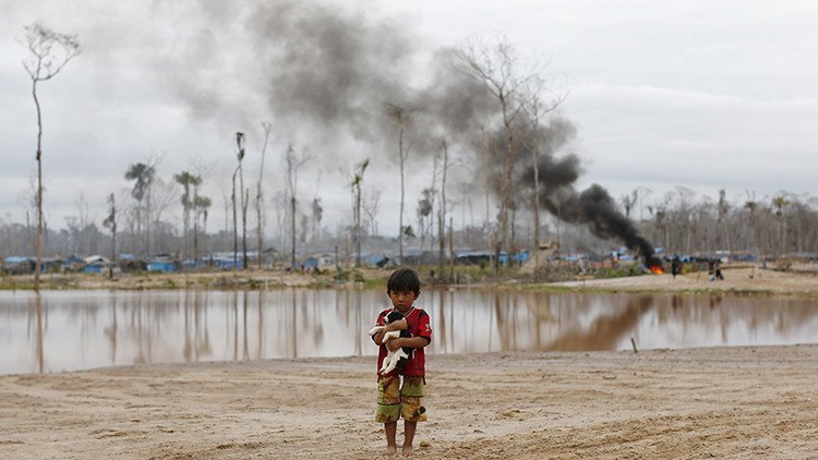 Perú: La política, bañada de oro ilegal 