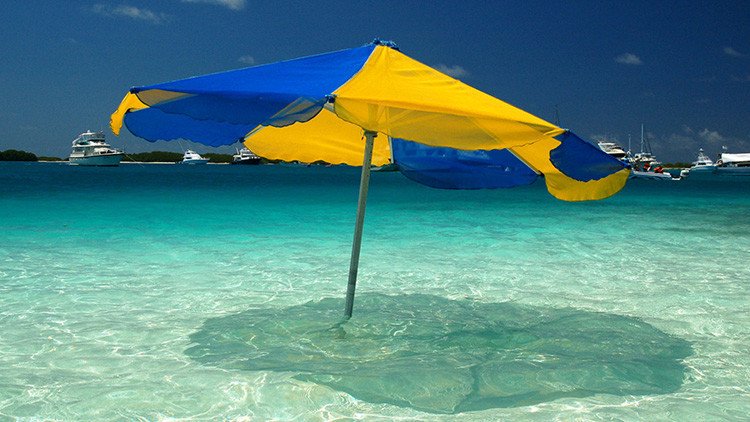 "Vivir pa' trabajar terminará matándote": la invitación de un abuelo a viajar se viraliza