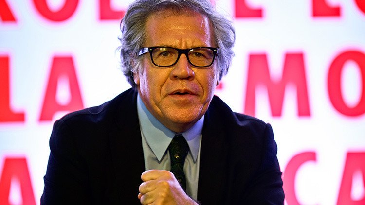 "Mediante falsedades e ignominias": Se reactiva la ofensiva internacional contra Venezuela en la OEA